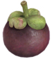 Nobilfrutto p3.png