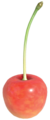 Granatacupidopik3.png