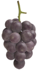 Pioggia viola p3.png