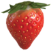 Bacca solare p3.png