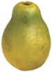 Costellazione di semi p3.png